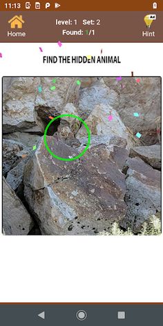 Hidden objects and Animals - Screenshot 2