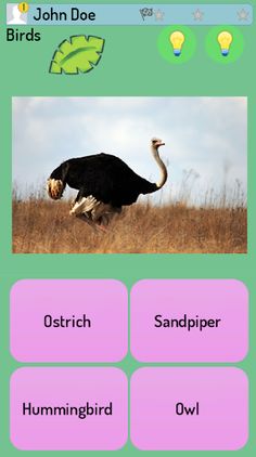 Animals Kingdom Quiz - Screenshot 4