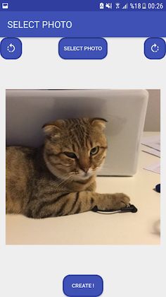 Photo Puzzle - Screenshot 4