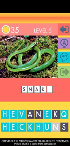 Picture Quiz - Screenshot 3