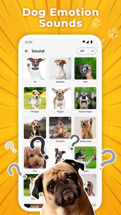 Dog Translator & Trainer - Screenshot 4