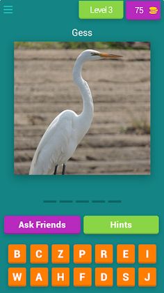 Birds Quiz - Screenshot 3