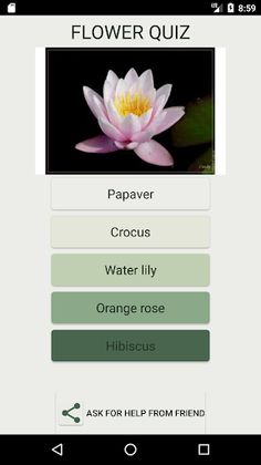 What Kind of Flower Are You ? - Screenshot 1