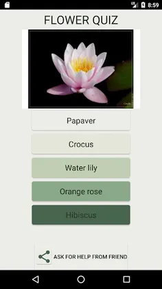 What Kind of Flower Are You ? - Screenshot 1