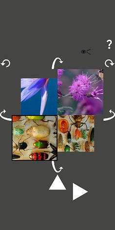 Hexapic Twist - Screenshot 2