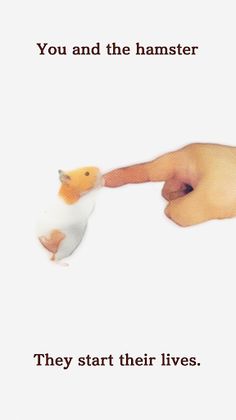 Namaham - Screenshot 3