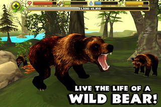 Wildlife Simulator: Bear - Screenshot 2
