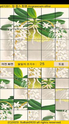 ttp12 - Screenshot 1