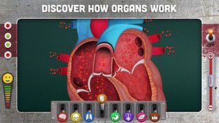 How does The Human Body Work? - Screenshot 3