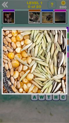 40 levels and 5 words - Screenshot 4