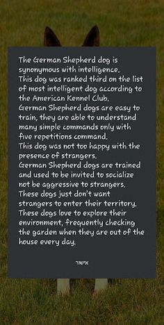 הידעת גזעי כלבים - Screenshot 3