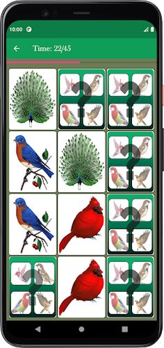 Bird Memory Matching Game - Screenshot 4