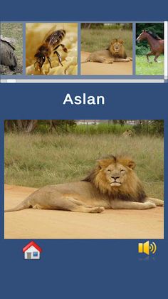 Little Educational - Screenshot 4