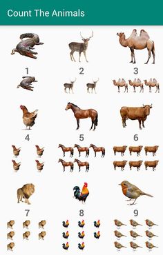 Count the Animals - Sounds of - Screenshot 2