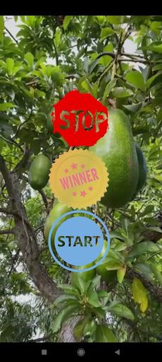 Avocado - Screenshot 1