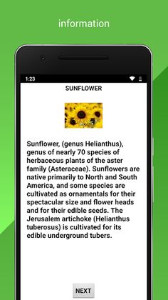 Flower_App_By_Dhanshree - Screenshot 3