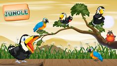 Jungle Birds Match Puzzle - Screenshot 2