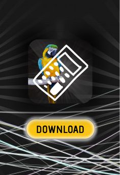 Metres in parrots - Screenshot 2