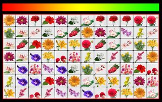 Onet Flower: Learn English - Screenshot 1