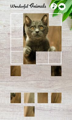 Wonderful Animals - Screenshot 3