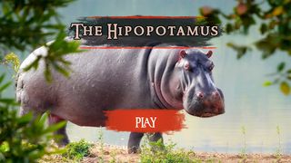 The Hippo - Screenshot 2