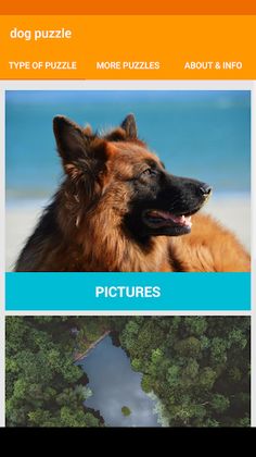 Dog Jigsaw Puzzle - Screenshot 4