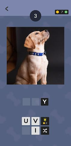 Guess The Dog Name - Screenshot 2