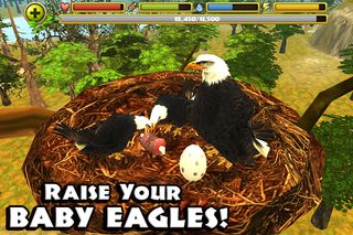 Eagle Simulator™ - Screenshot 1