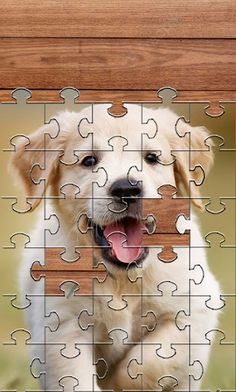 Dogs Jigsaw Puzzle Games - Screenshot 4