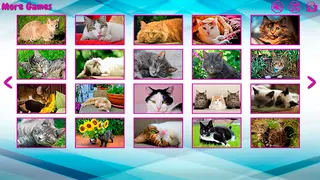 Big puzzles with cats - Screenshot 2