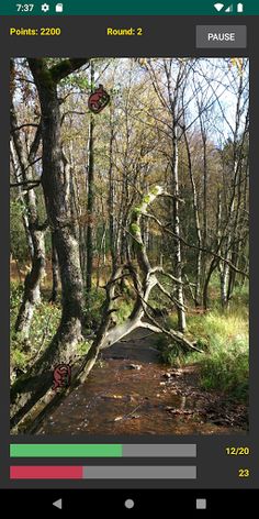 Catch the Fossa - Screenshot 2