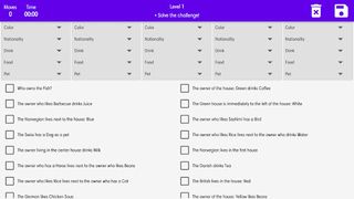 Einstein's Riddle - Screenshot 3