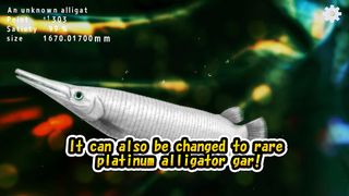 Alligator Gar raising from fry - Screenshot 3