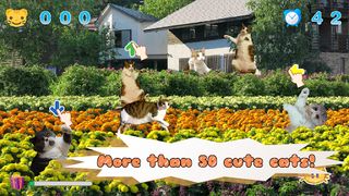 Jumping Cat - touch & tap - Screenshot 1