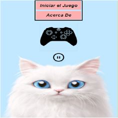 CatGat - Screenshot 3