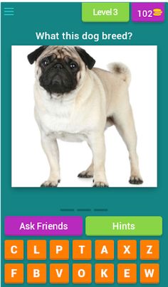 Dog Breeds trivia - Screenshot 4