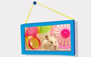 Picture Puzzle: Hamsters - Screenshot 3