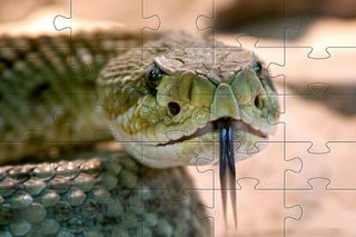 Snake games jigsaw puzzles - Screenshot 2