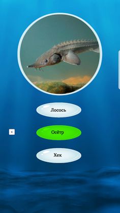 Загадки о рыбах - Screenshot 4