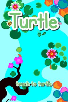 Turtle - Screenshot 1
