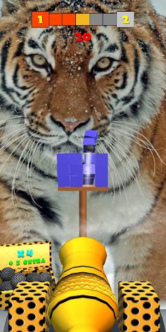 Tiger Shooting Ball - Screenshot 3