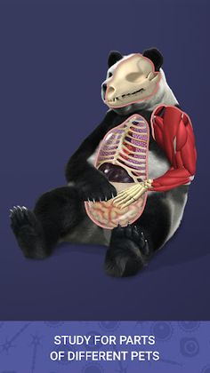 Idle Pet - Create cell by cell - Screenshot 3