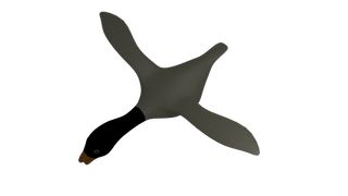 HelaDucks - Screenshot 3