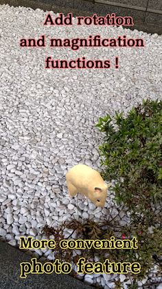 Namaham - Screenshot 2