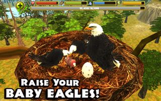 Eagle Simulator - Screenshot 2