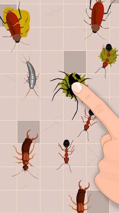 Insects Smasher: Ant Crush - Screenshot 3