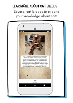 Funny cat test , cat breeds - - Screenshot 2