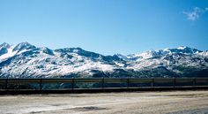 Glistening dewdrops - Screenshot 4