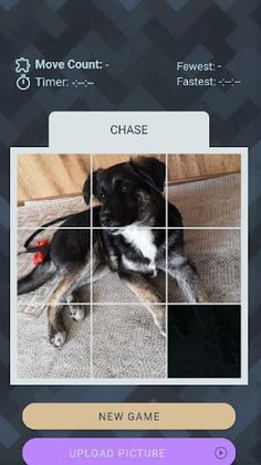 Slide a dog - Screenshot 2