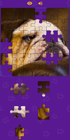 Dogs Photo Puzzle Game - Screenshot 2